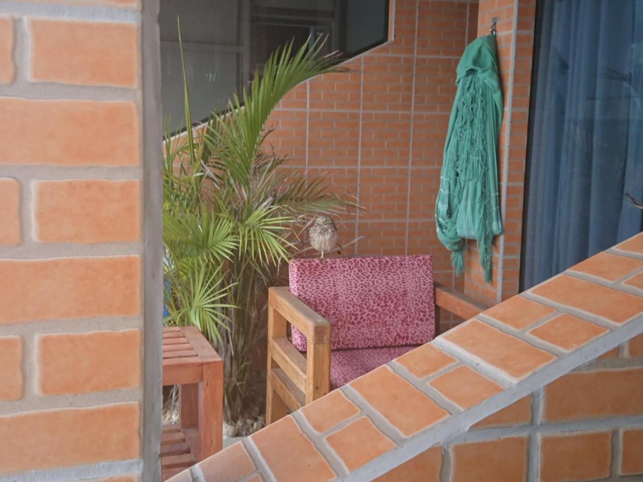 Pousada Suites Do Santinho Florianópolis Exteriör bild